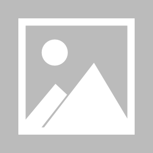 朝阳吃瓜群众什么意思,网络热词背后的社会现象